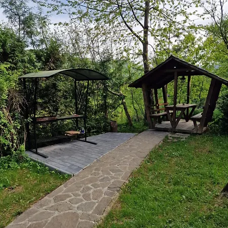 Hotel гуцульська хата 2*