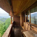 гуцульська хата 2*