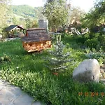 гуцульська хата Отель